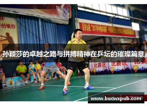 孙颖莎的卓越之路与拼搏精神在乒坛的璀璨篇章