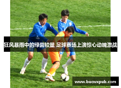 狂风暴雨中的绿茵较量 足球赛场上演惊心动魄激战
