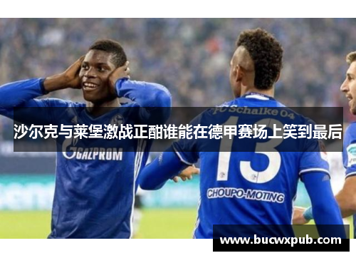 沙尔克与莱堡激战正酣谁能在德甲赛场上笑到最后