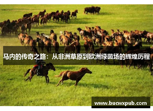 马内的传奇之路：从非洲草原到欧洲绿茵场的辉煌历程